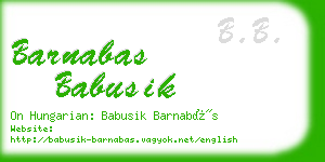 barnabas babusik business card